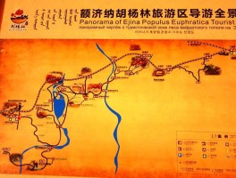 包含额济纳旗胡杨林旅游攻略最佳路线图的词条